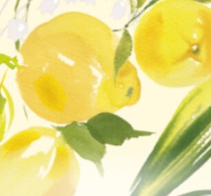 Citrus Lemon
